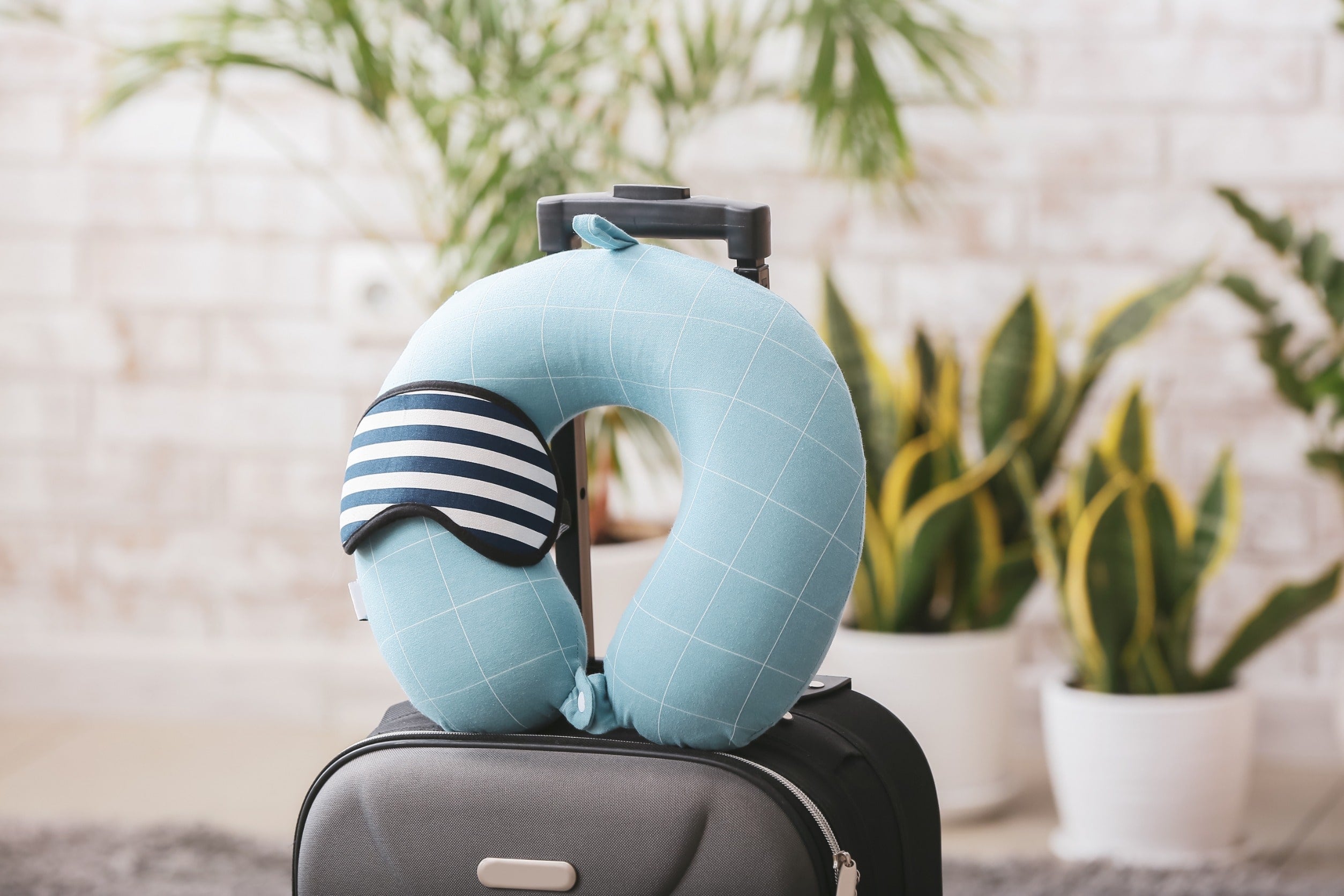 Travel Smart & Organized