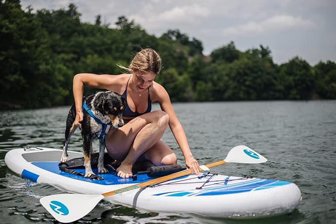 SUP Paddle Board Paddle - Adjustable Paddleboard Paddle Oar 4-Piece Floating Aluminum SUP Kayak Paddle