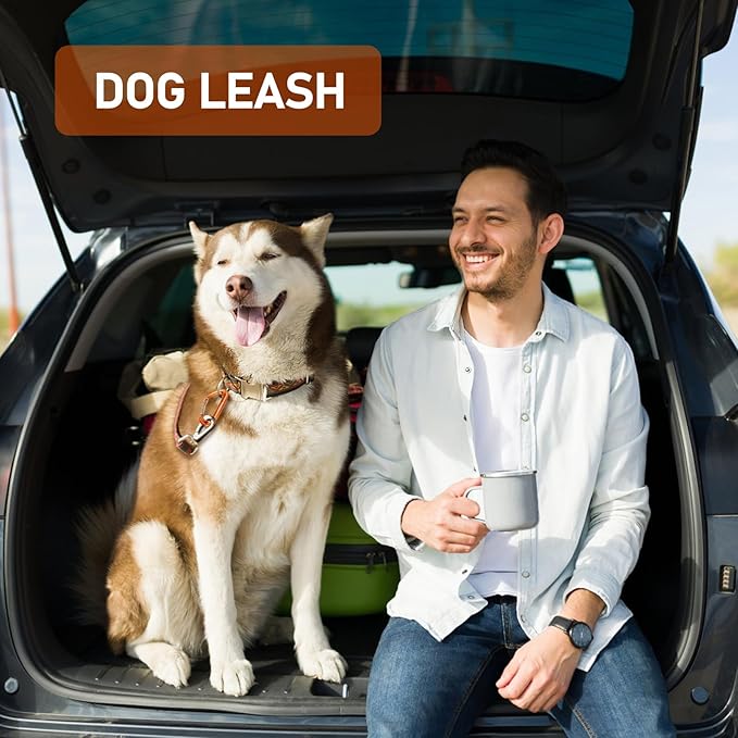 Carabiner,12KN Lightweight Heavy Duty Carabiner Clips,Aluminium Wiregate Caribeaners for Hammocks,Camping, Key Chains, Outdoor and Gym etc,Hiking & Utility