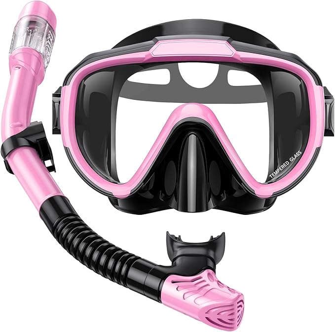 Snorkel Set Adults Snorkeling Gear Anti-Fog Panoramic View Swim Mask Dry Top Snorkel Kit with Carry Bag for Snorkeling Scuba Diving Swimming Travel