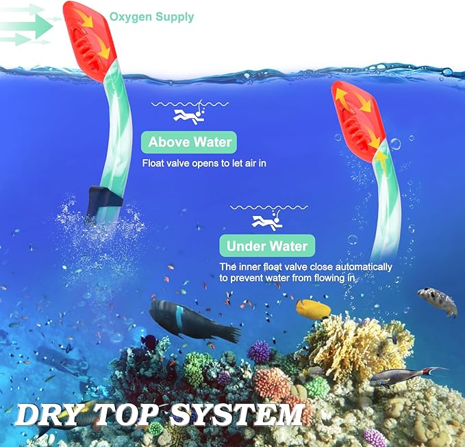 Kids Snorkel Set Dry Top Snorkeling Gear for Kids Youth Boys Girls Junior Age 5-15,Tempered Glass Swimming Diving Mask and Snorkel Set 180 Degree Panoramic View