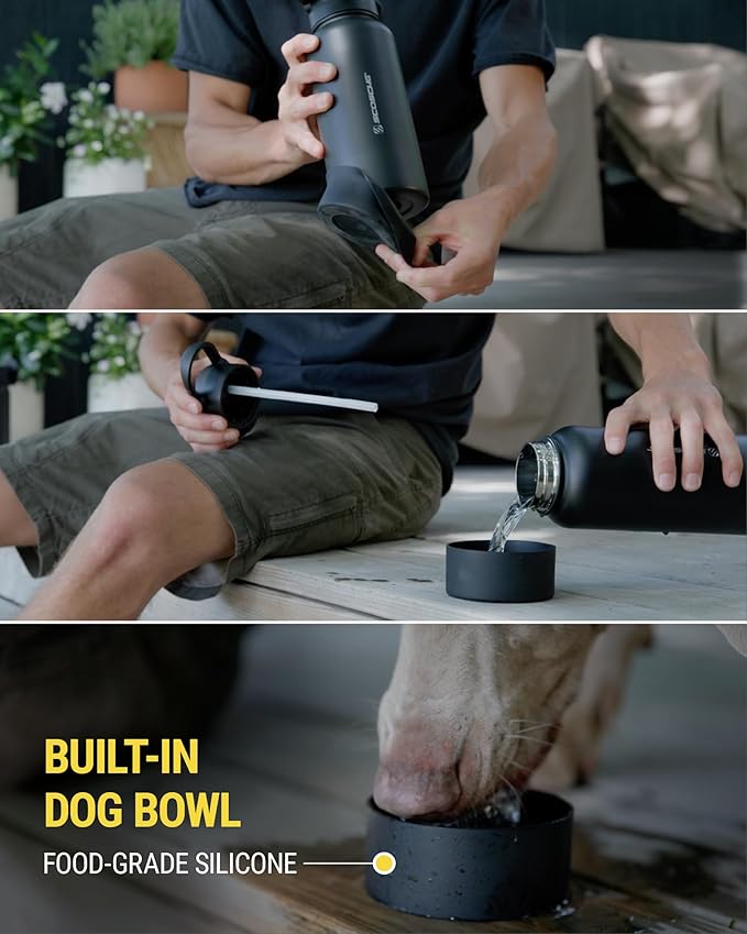 Scosche MFMS32 MagicMount Flask 32 oz Stainless Steel Water Bottle with MagSafe Phone Mount Stand, 12H Hot & 24H Cold, Insulated Flask with Magnetic Phone Holder for Gym, Travel, Sports, 32oz, Blue