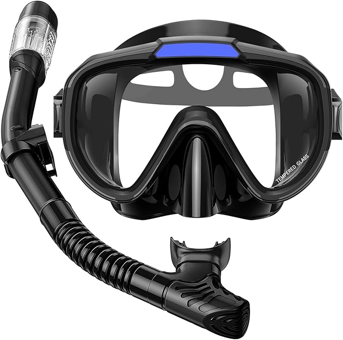 Snorkel Set Adults Snorkeling Gear Anti-Fog Panoramic View Swim Mask Dry Top Snorkel Kit with Carry Bag for Snorkeling Scuba Diving Swimming Travel