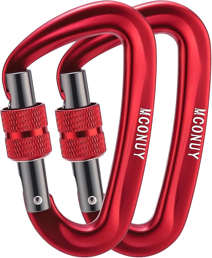 12kN Locking Carabiner Clips, Small Aluminium Carabiners Keychain, Heavy Duty Caribeaners for Camping, Hiking, Hammocks, Swings, Dog Leash, 2 Pcs
