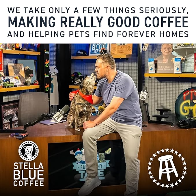 Stella Blue Cold Brew Coffee Packets, Miss Peaches Blend, Medium Roast Ground Coffee, Citrus, Carmel with Sweet Fruity Notes, 100% Arabica, 6 Brew Packets, Makes 24 Bold Cups